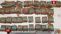Во время земляных работ в деревне Мокрово Лунинецкого района обнаружено более 730 патронов 19-20 вв 
