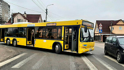 Водитель автобуса сбил пенсионерку на пешеходном переходе в Минске, она госпитализирована