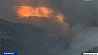 Черногория не может справиться с лесными пожарами