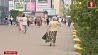С 1 августа в Беларуси увеличатся трудовые пенсии 