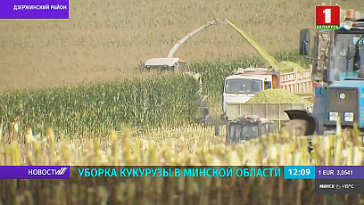 Уборка кукурузы ў Мінскай вобласці ў актыўнай фазе