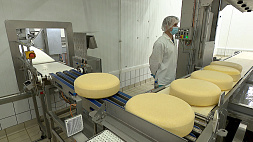 Китай и Африка - новые рынки сбыта белорусских сыров