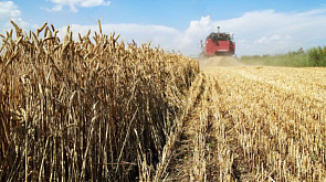Евросоюз отказывается от украинских фермеров