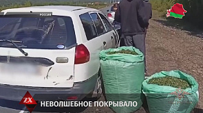 Российские полицейские изъяли 105 кг конопли в Забайкальском крае