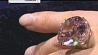 Уникальный бриллиант “Розовая звезда”  продан на аукционе "Сотбис" 