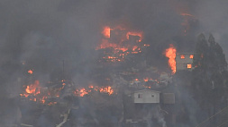 В Чили объявлен траур по жертвам разрушительных лесных пожаров