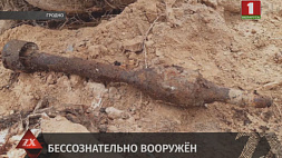 В Гродно во время вырубки старых деревьев работники обнаружили снаряд