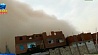 На Египет обрушилась мощная песчаная буря со шквалистым ветром