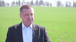 Леонид Заяц рассказал, что происходит на мелиоративных землях в Беларуси 