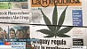 В Уругвае сенат  утвердил закон о легализации марихуаны