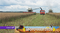Аграрии Беларуси ведут уборку нового урожая. Озимого ячменя намолочено с 87 % площадей