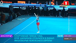 Е. Шарамков в финале многоборья на чемпионате Европы по спортивной гимнастике 