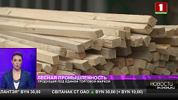 Продукцию под единой торговой маркой могут начать выпускать  белорусские лесхозы 