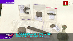 Какие следы прошлого нашли на раскопках рядом с притоком реки Менка в деревне Городище?
