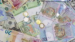 Курсы валюты на 24 января: ситуация с белорусским рублем изменилась