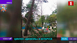 Штормовое предупреждение: циклон "Даниэль" бушует в Беларуси 