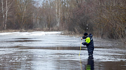 МЧС: в Могилевской области из-за разлива рек проехать к некоторым населенным пунктам невозможно