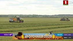 Уборочная в Беларуси набирает темп. Аграрии осваивают поля озимого ячменя
