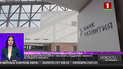 Банк развития планирует увеличить поддержку малого и среднего бизнеса в Беларуси