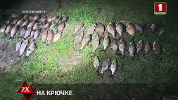 Тысячи рублей ущерба и несколько уголовных дел - итог закрытия сезона нереста в Минской области