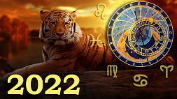 Что нам готовит водяной Тигр - астрологический прогноз на 2022 год