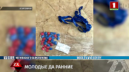 В Осиповичах правоохранители задержали 4 местных жителей за работу на интернет-площадку по продаже наркотиков