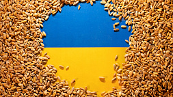 Еврокомиссия планирует обсудить спорные вопросы, связанные с ввозом зерна из Украины в страны ЕС