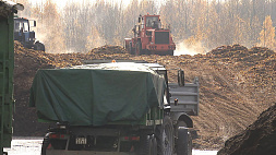 В Минске сезон уборки и переработки листвы: что производят из опавших листьев, сломанных веток и сухой травы