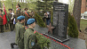40 вечнозеленых туй высадили в Борисове в честь погибших в годы Великой Отечественной войны
