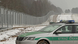 Новая власть в Польше планирует дальше укреплять заграждения на границе с Беларусью