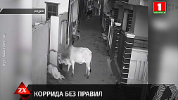 В Индии корова напала на женщину, момент попал в объектив камеры видеонаблюдения