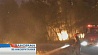 Международной помощи в тушении пожаров просит Босния и Герцеговина