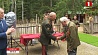 Слова благодарности и награды принимают ветераны Великой Отечественной войны