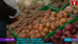 Ценовое регулирование на борщевой набор и яблоки вводит правительство Беларуси 