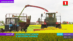 Белорусские аграрии приступили к заготовке зеленых кормов 
