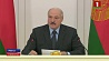 Президент Беларуси: Стабильность энергетической системы - залог безопасности страны