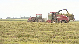 Аграрии  Гомельской области завершают первый укос трав