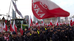Кто стоит за протестами фермеров - мнения поляков разделились