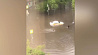 Проливные дожди в Москве - уровень воды местами превысил высоту автомобилей 