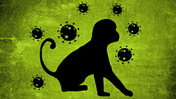 ВОЗ дала новые названия двум вариантам оспы обезьян 