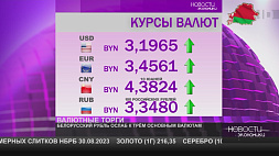 Курсы валют на 30 августа: белорусский рубль ослаб к трем основным валютам