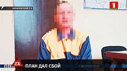 В Барановичском районе задержан подозреваемый в нападении на мужчину