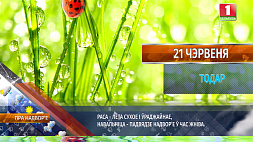 "Пра надвор’е" - 21 чэрвеня ў народным календары Тодар