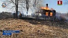 В Полоцком районе из-за выжигания сухой травы сгорели дом и баня