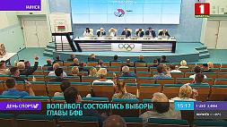 Владимир Ващенко возглавил Белорусскую федерацию волейбола