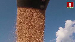 Россия готова бесплатно поставить зерно в ряд африканских стран
