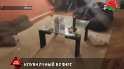 "Клубничный" бизнес с участием подруг организовала 17-летняя девушка в Минске