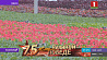 Более двух миллионов цветов высадят в Минске к 75-летию Великой Победы