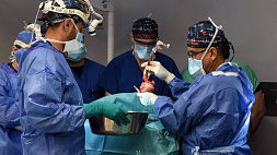 Вторую в истории операцию по пересадке свиного сердца человеку сделали в США