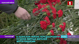 Останки мирных жителей, погибших от рук фашистов, перезахоронили в Ушачском районе